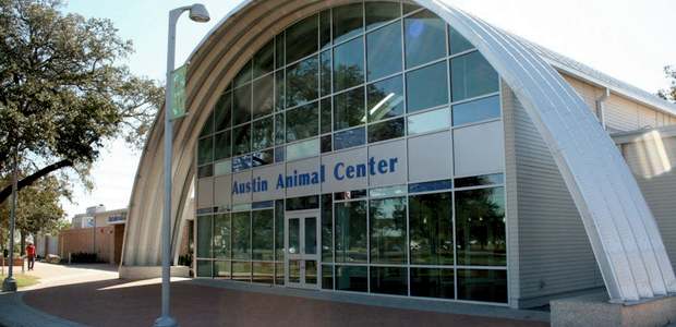 austin-animal-center
